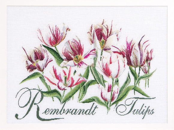 Thea GOUVERNEUR テア・グーヴェルヌール Rembrandt Tulips クロスステッチキット 16ct