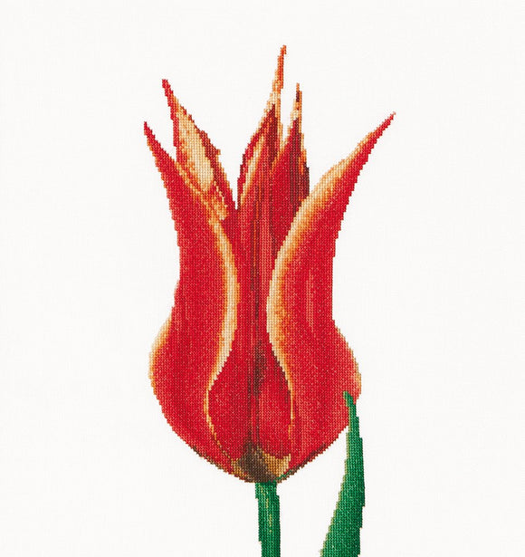 Thea GOUVERNEUR テア・グーヴェルヌール Red/Yellow Lily flowering tulip クロスステッチキット 16ct
