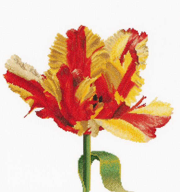 Thea GOUVERNEUR テア・グーヴェルヌール Red/Yellow Parrot tulip クロスステッチキット 16ct