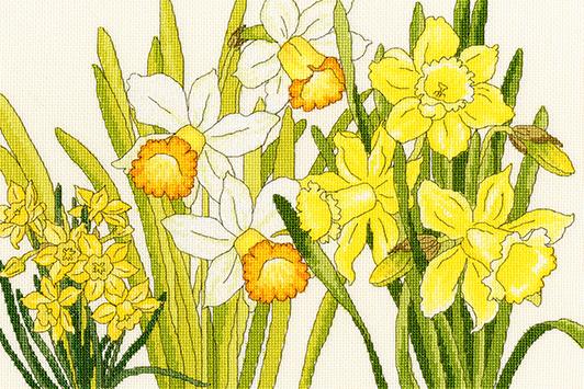 Bothy Threads ボシースレッズ Daffodil Blooms XBD10 クロスステッチキット