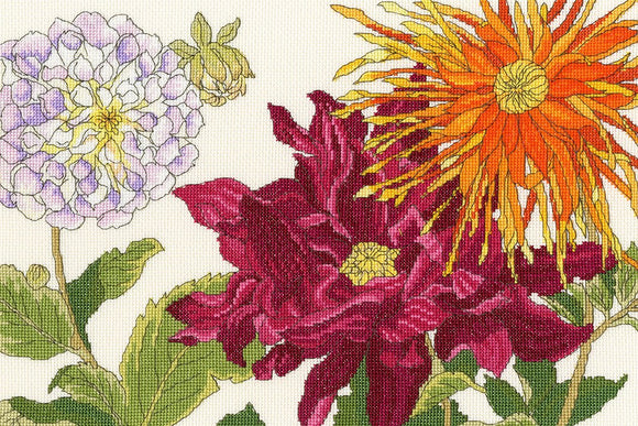 Bothy Threads ボシースレッズ Dahlia Blooms XBD11 クロスステッチキット