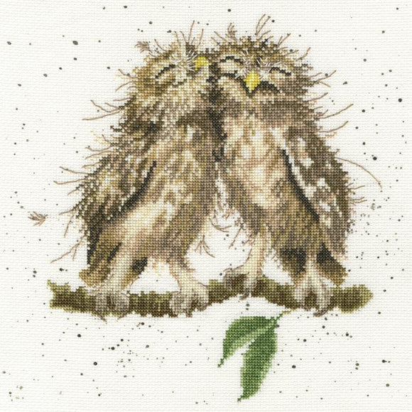Bothy Threads ボシースレッズ Birds Of A Feather XHD36 クロスステッチキット