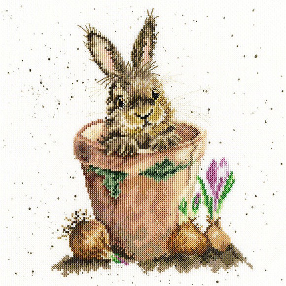 Bothy Threads ボシースレッズ The Flower Pot XHD76  クロスステッチキット